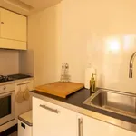 Rent 1 bedroom apartment in Milan