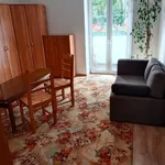 Rent 4 bedroom apartment of 85 m² in Poznan