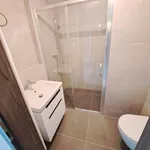 Rent 1 bedroom apartment in Brno