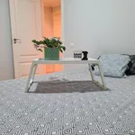 Alquilar 5 dormitorio apartamento en Valencia