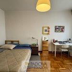 Rent a room of 170 m² in Padua