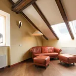 Rent 3 bedroom apartment of 110 m² in Prague