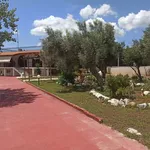 Rent 2 bedroom house of 130 m² in Municipal Unit of Megara