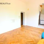 Pronájem bytu 1+kk 24m²