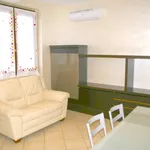 Rent 1 bedroom apartment of 55 m² in medolago