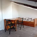 Rent 1 bedroom apartment of 30 m² in Torino