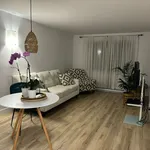 Rent 4 bedroom apartment in Lévis