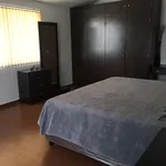 Rent 1 bedroom apartment of 300 m² in Edo. Mexico