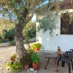 Rent 1 bedroom house of 50 m² in Coruche