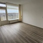 Huur 1 slaapkamer appartement van 47 m² in leerdam