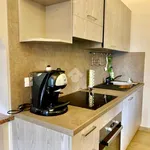 Rent 5 bedroom apartment of 120 m² in Magliolo