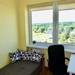 Rent a room of 9 m² in Toruń