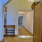 Rent 4 bedroom apartment of 189 m² in Prague