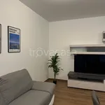 Rent 3 bedroom apartment of 95 m² in Pescara