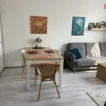 Rent 2 bedroom apartment in Rychnov nad Kněžnou