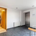 Rent 3 bedroom apartment in Capital City of Prague