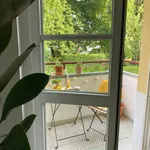 Rent 1 bedroom apartment of 43 m² in Berlin