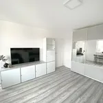 Rent 1 bedroom apartment of 30 m² in Nuremberg