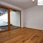 Rent 3 bedroom apartment of 100 m² in Wildschönau