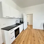 Rent 3 bedroom apartment of 64 m² in Donau