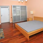 Rent 3 bedroom apartment of 123 m² in Prague