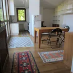 Rent 1 bedroom apartment of 50 m² in Treviso