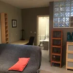 Huur 1 slaapkamer appartement van 40 m² in brussels