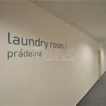 Rent 1 bedroom apartment of 32 m² in Praha