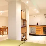 Rent 1 bedroom apartment of 55 m² in Segrate