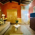 Rent 2 bedroom apartment of 45 m² in Lucca