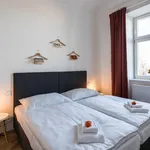 Rent 1 bedroom apartment in Prague