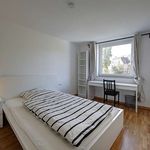 Rent a room of 67 m² in stuttgart