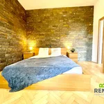 Rent 2 bedroom apartment of 75 m² in Uherský Brod