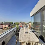 Rent 2 bedroom apartment in Heusden-Zolder