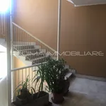 Rent 1 bedroom apartment of 65 m² in Rome