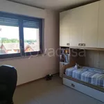 Rent 3 bedroom apartment of 90 m² in Frosinone