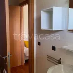 Rent 2 bedroom apartment of 50 m² in Lodi