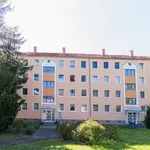 Rent 2 bedroom apartment of 60 m² in Chemnitz