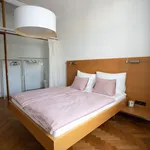 Rent 2 bedroom apartment of 112 m² in Prague