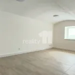 Rent 2 bedroom apartment of 42 m² in Františkovy Lázně