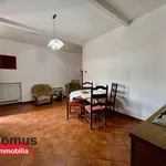 Affitto 2 camera appartamento di 65 m² in ferrara