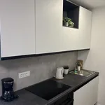 Rent 1 bedroom apartment of 41 m² in Grad Rijeka