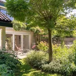 Rent 5 bedroom house of 165 m² in Leiden