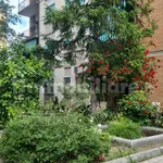 Rent 3 bedroom apartment of 95 m² in Rome