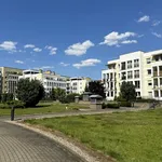 Rent 4 bedroom apartment of 96 m² in Poznan