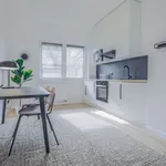 Rent 1 bedroom apartment of 37 m² in Dusseldorf