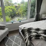 Rent 3 bedroom house in Christchurch