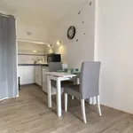 Rent 1 bedroom apartment of 24 m² in L'Isle-sur-la-Sorgue