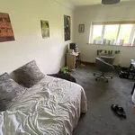 Rent 7 bedroom apartment in Yorkshire And The Humber