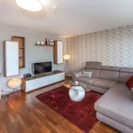 Rent 3 bedroom apartment of 65 m² in Nuremberg